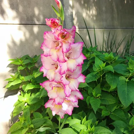 Meuble 10 Personnes בית נופש Donges