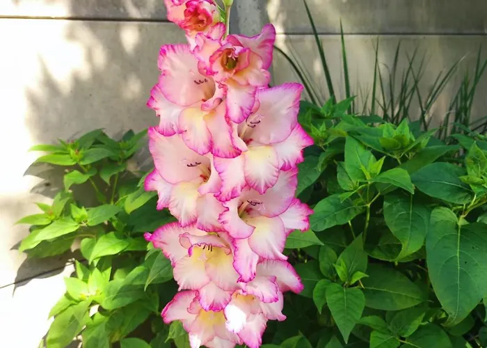 Meuble 10 Personnes Dom wakacyjny Donges